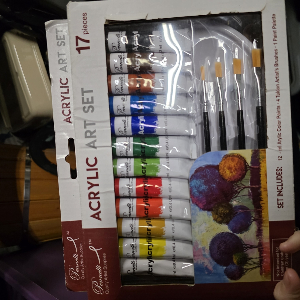 Premium Acrylic Art Set with Brushes - 17 Pieces
